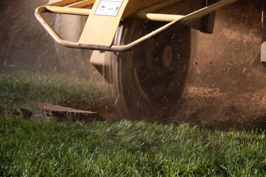 A yellow tractor is cutting a tree stump in the grass.