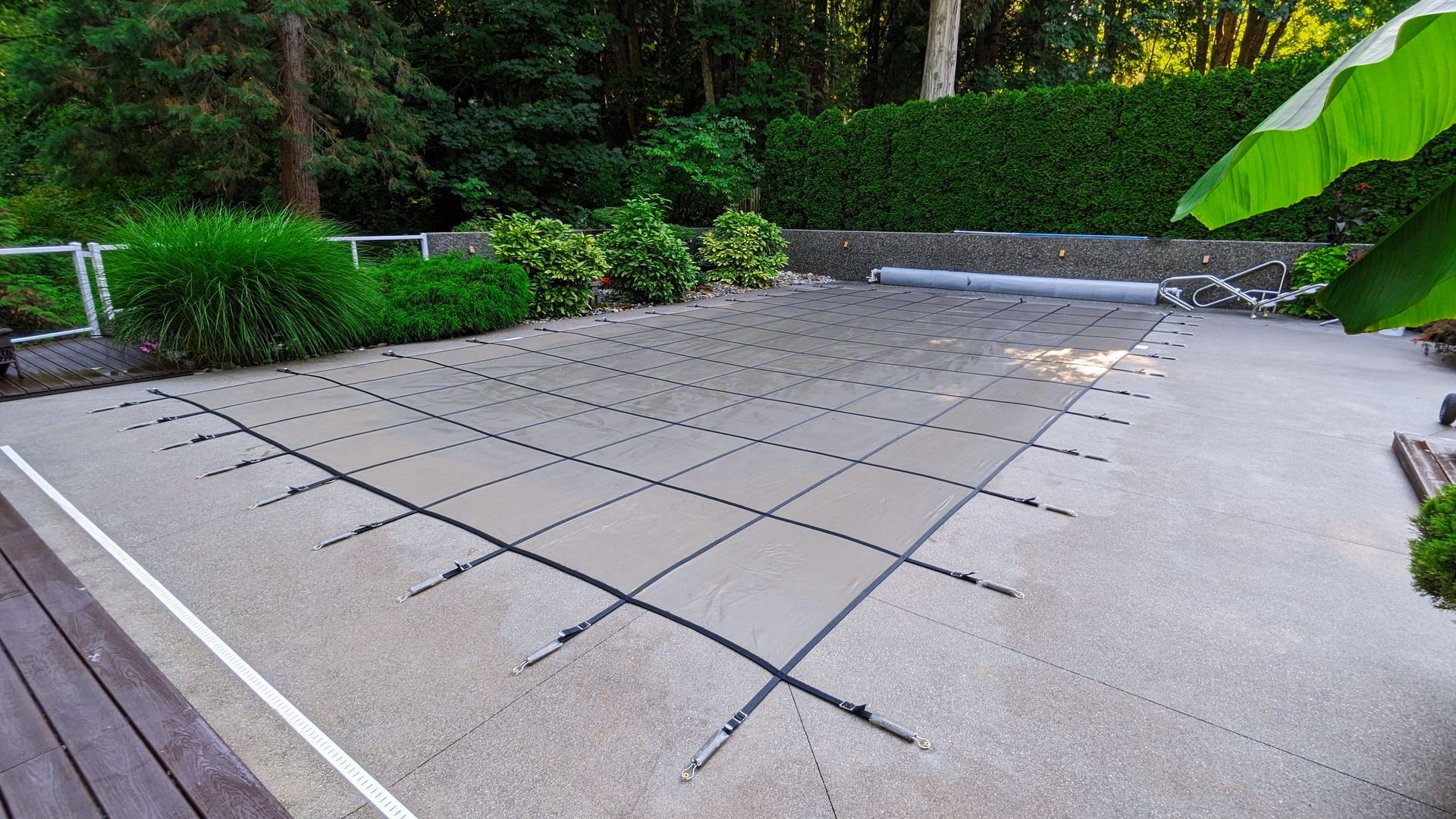 Pool covered with a black safety net, on a concrete patio. Green foliage surrounds the pool area.