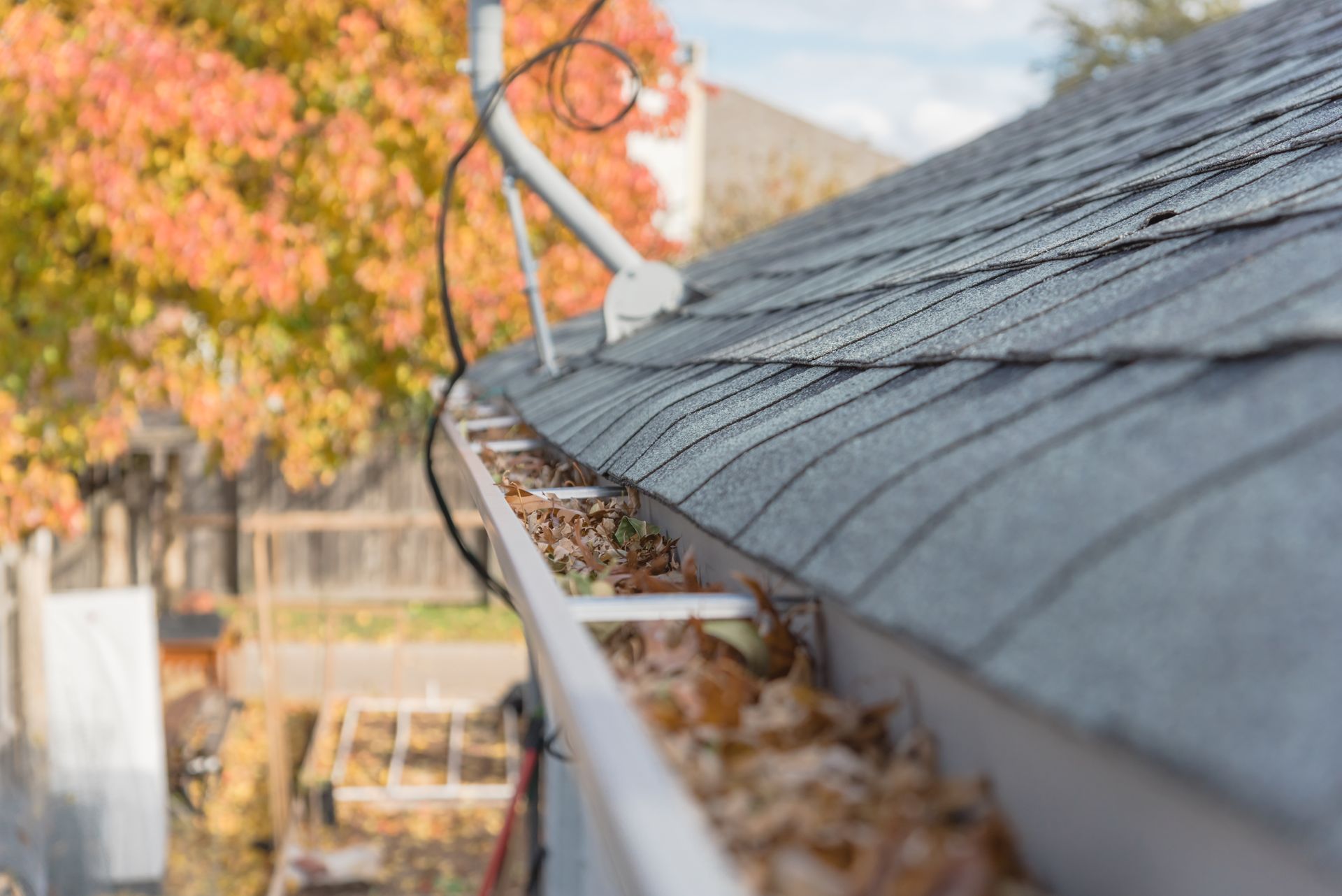 Gutter filled with leaves on a gray shingled roof with fall foliage in the background.