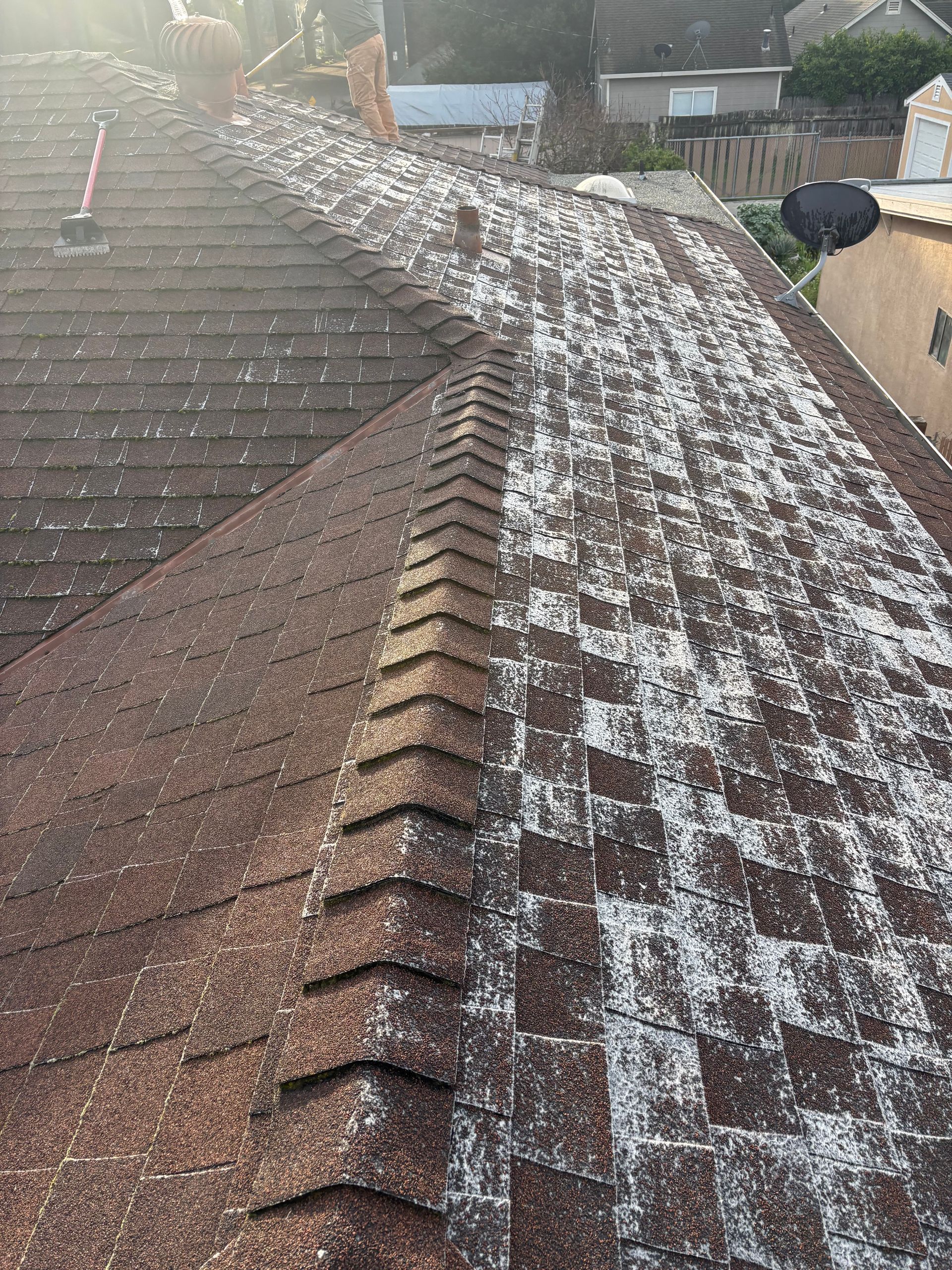 Roof with shingles, half cleaned of white debris, showing workers cleaning.