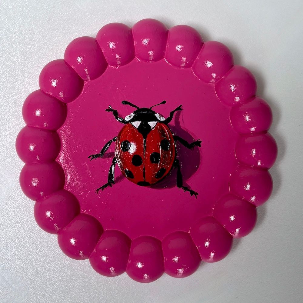 Ladybird wandbordje