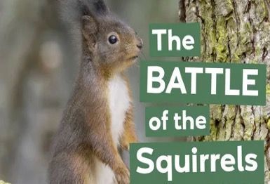 The Battle Of The Squirrels Scotland is home to the majority of Britain's surviving native red squirrel population. But will the battle to save them from invasive grey squirrels halt their decline and reverse their fortunes?