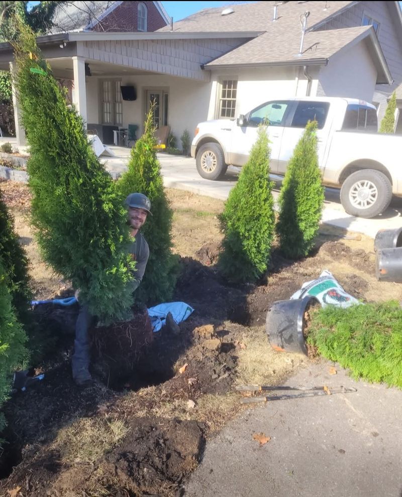 Man planting evergreen trees in a garden bed near a house and parked pickup truck.