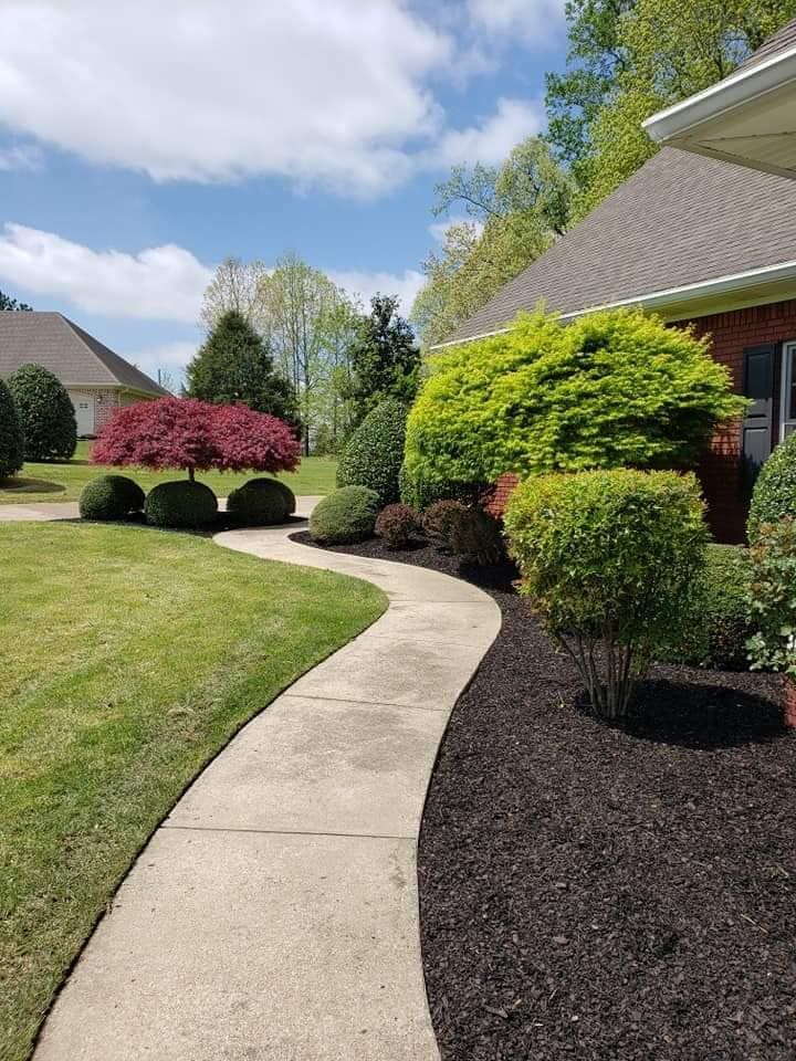 Curving concrete walkway lined with dark mulch and manicured shrubs in front of a house.