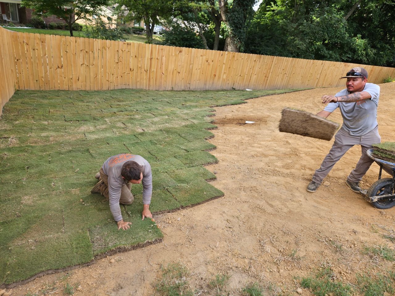 Two people installing sod in a yard, near a wooden fence. One kneels while the other carries a sod piece.