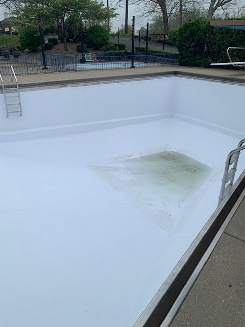 Empty swimming pool with white interior and green algae stain in the center. Ladder and diving board present.