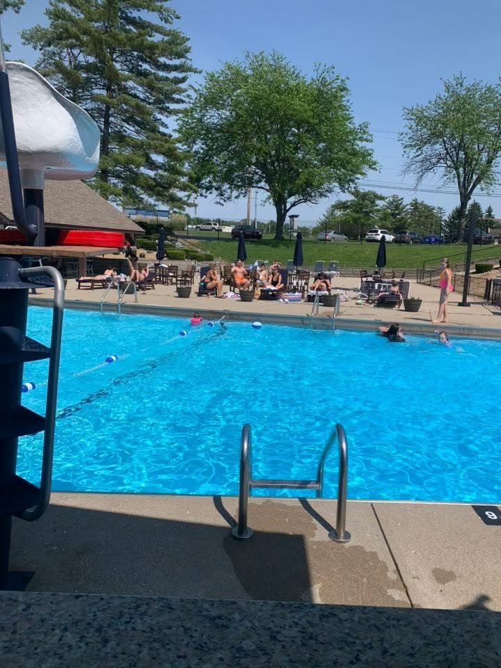 Swimming pool on a sunny day with people swimming and sunbathing.