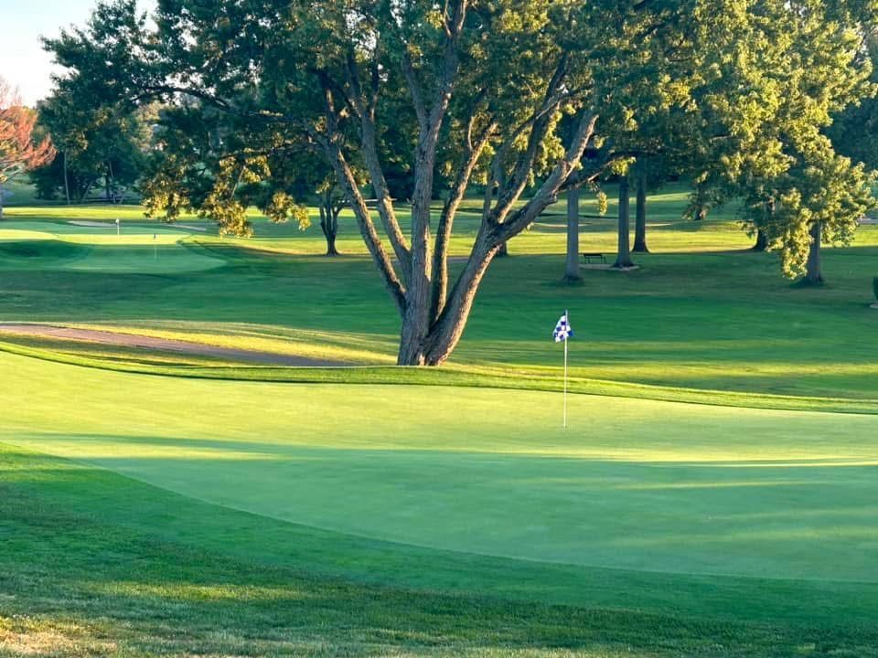 Green golf course with a flag near the hole, a tree in the center, and sunlight.