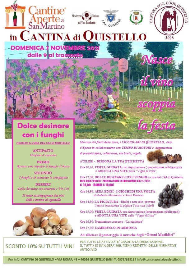 A poster for a wine festival in cantina di quistello