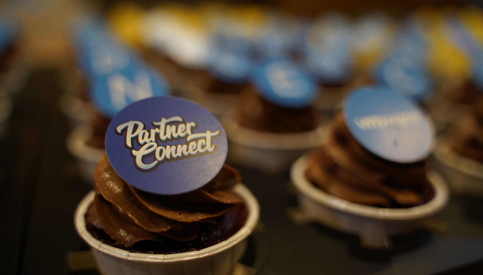 Chocolate cupcakes with