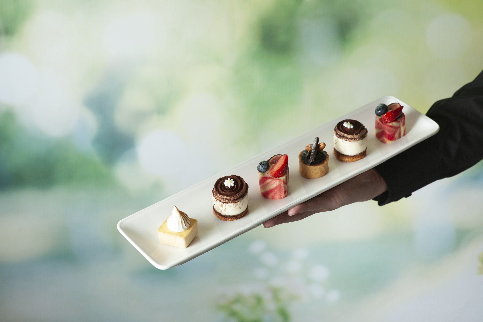Hand holding a rectangular plate with six small pastries against a blurred green background.