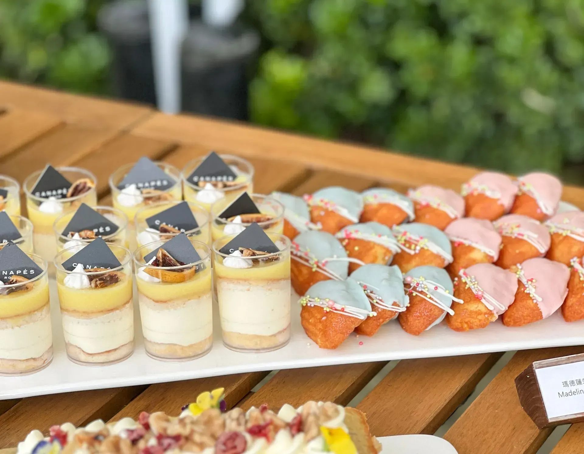 Dessert tray with mini lemon cheesecakes, donuts with blue and pink frosting.