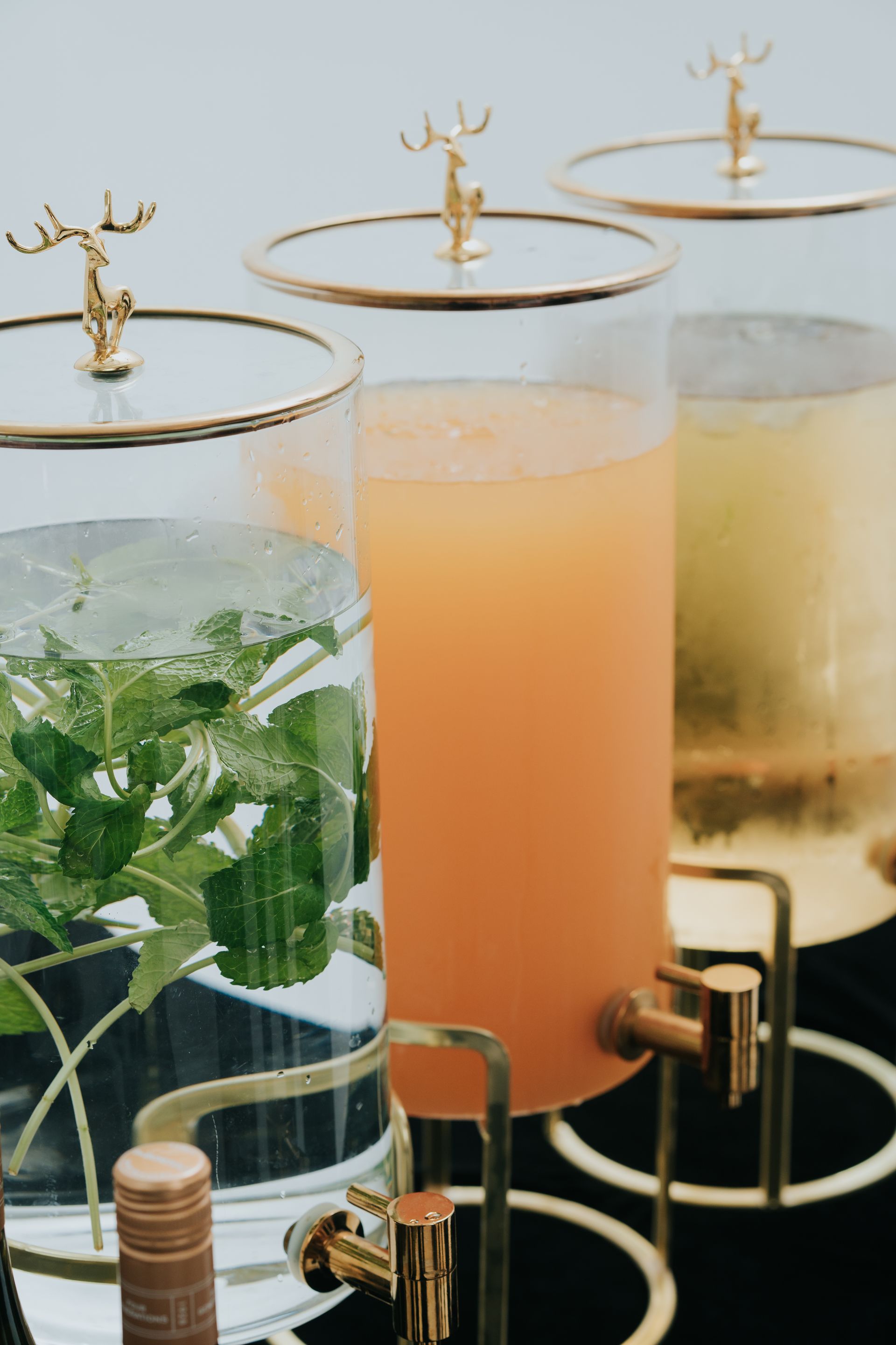 Three glass beverage dispensers with gold accents, filled with water and mint, orange juice, and a light yellow liquid.