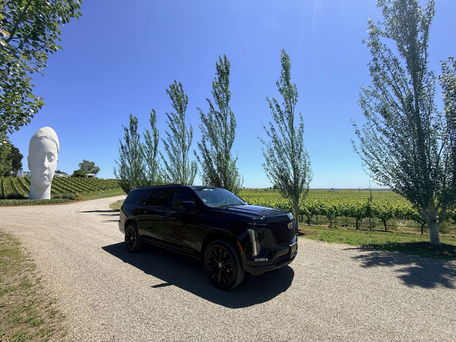 Black SUV parked on a gravel driveway beside slender trees under a bright blue sky.