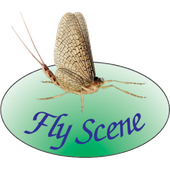 Fly Scene logo with a mayfly insect on a green oval, blue text.
