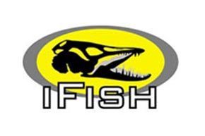 Vision Fly Fishing