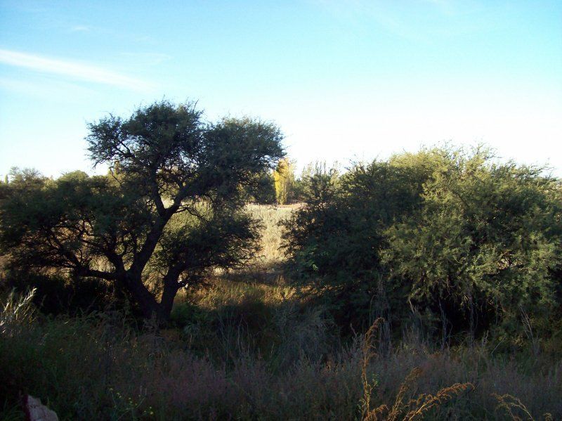 Médano Azul agua