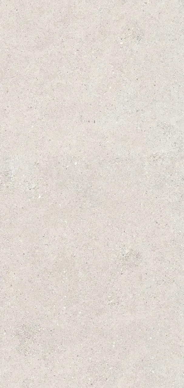 Shell Grey