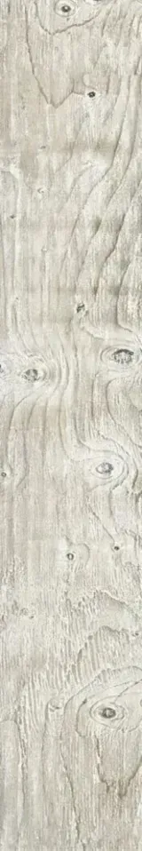 Ashenwood