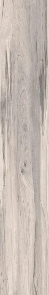 Forest Sand
