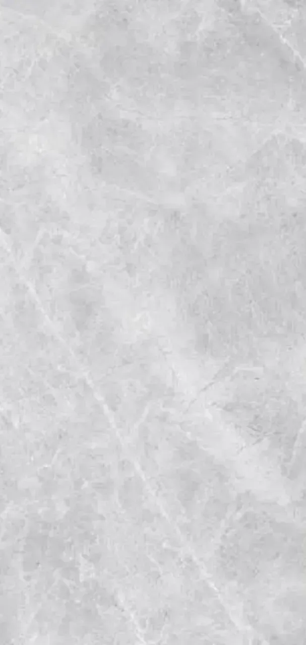  Monaco Grey