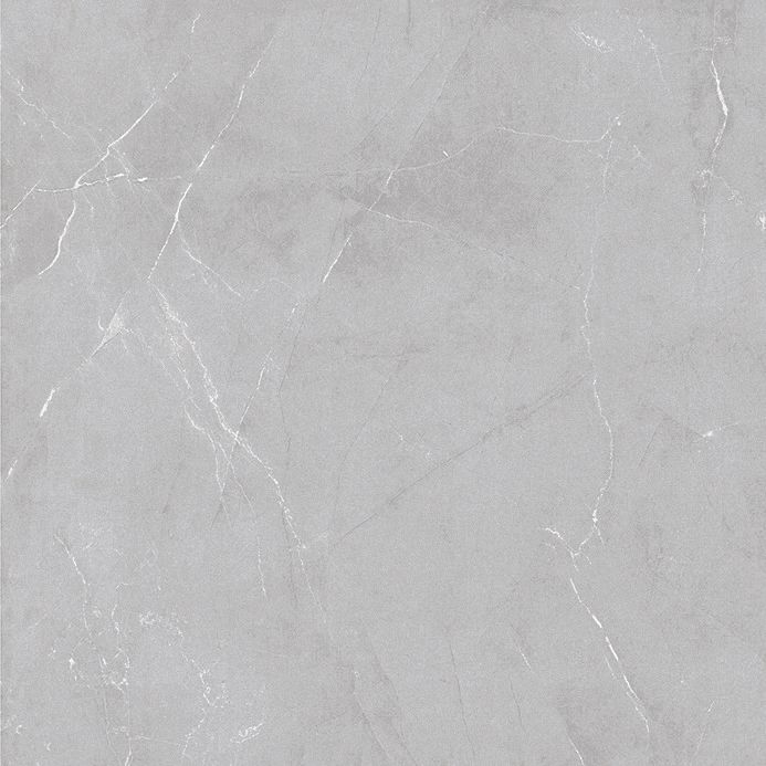 Oyster Silver