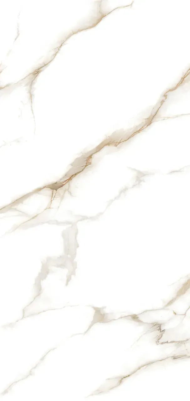 Silver Trace