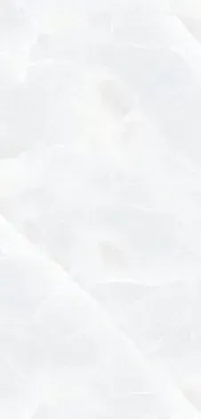 Snow Crystal