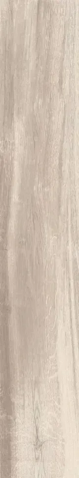 Urban Honey