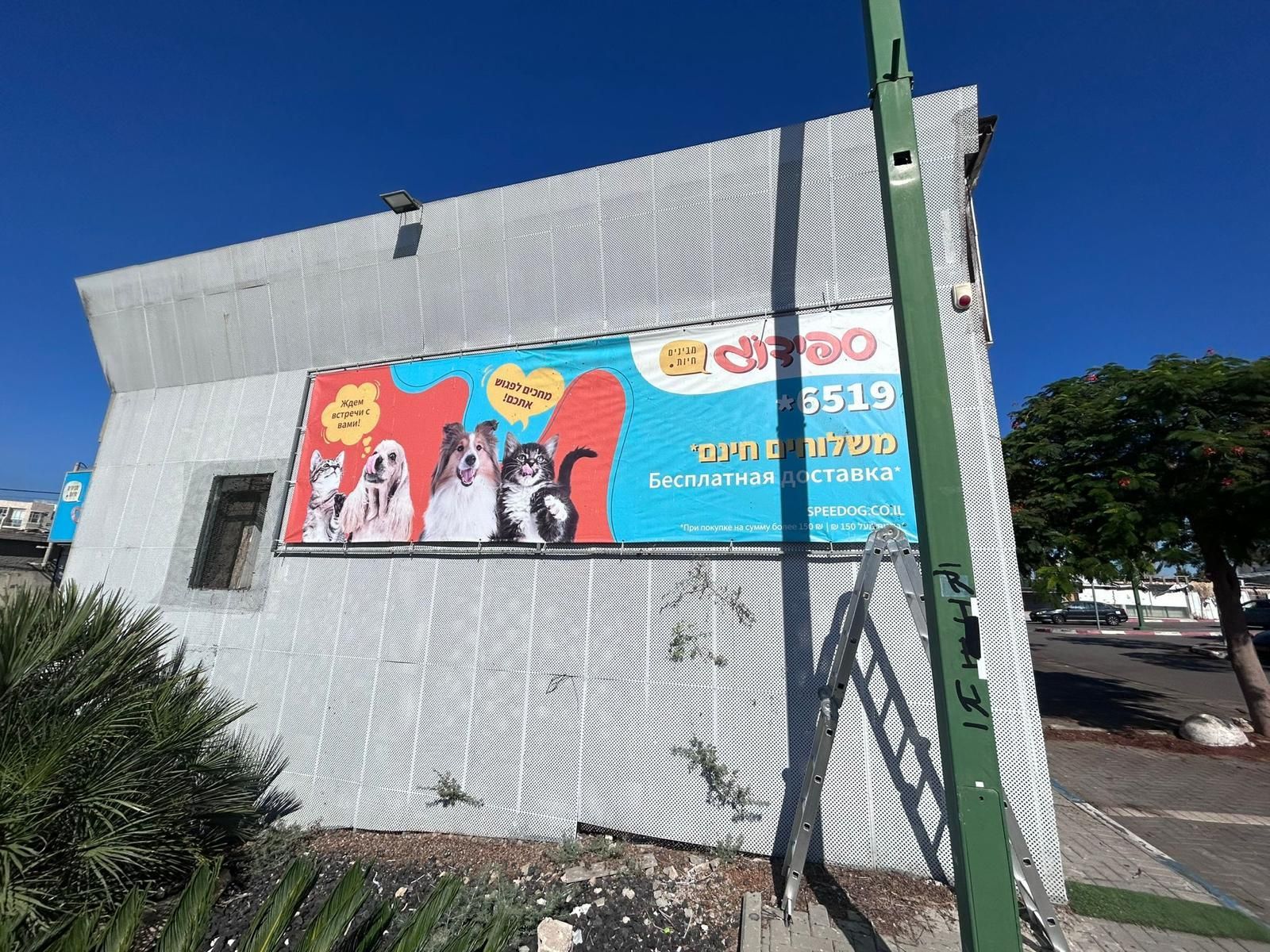 שמשוניות