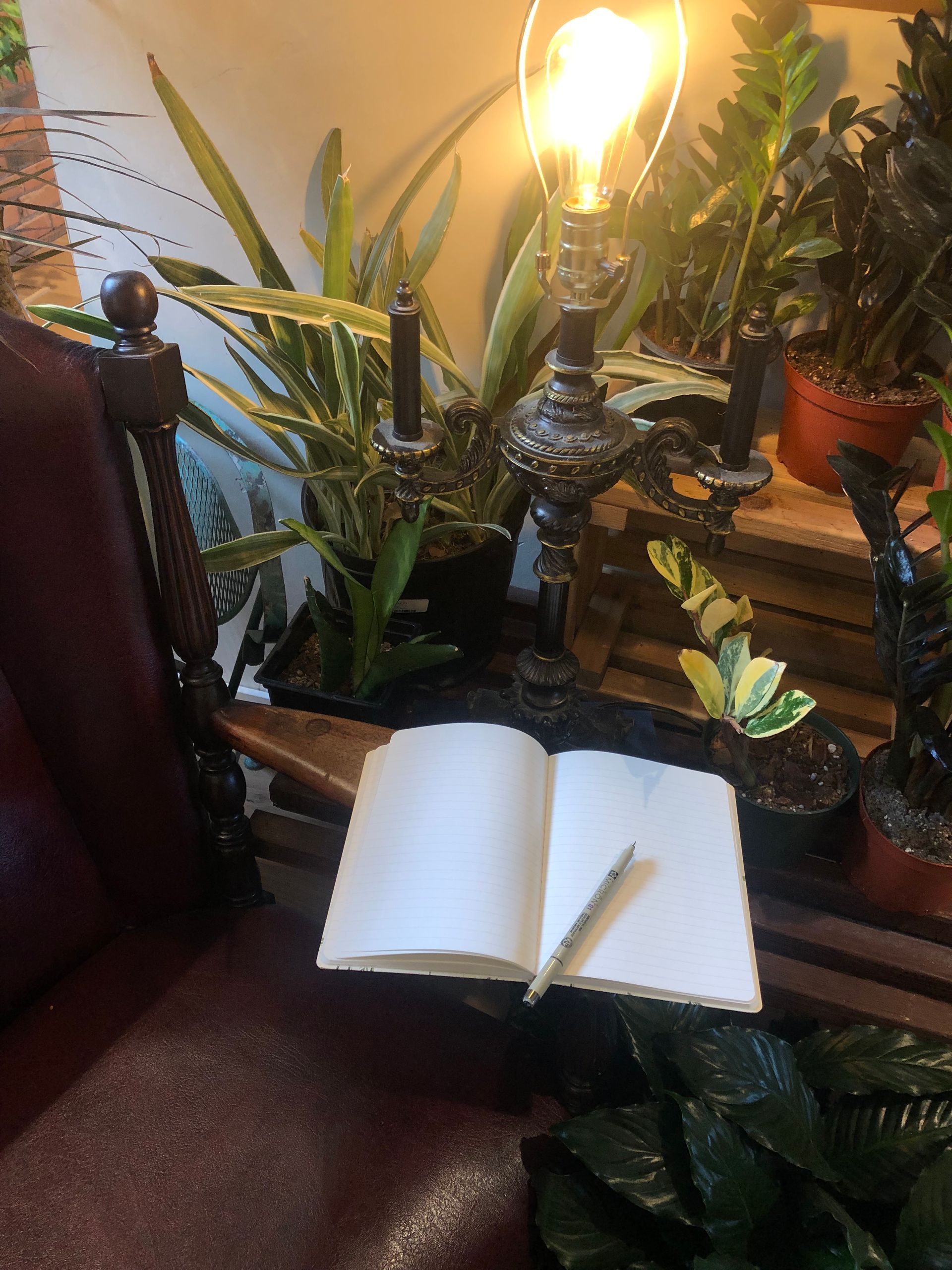 Open book on a chair arm in a cozy room with houseplants and a glowing lamp nearby