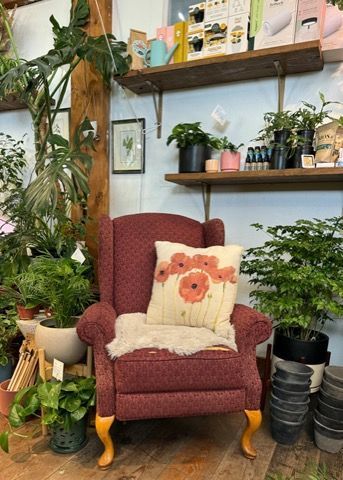 House plants bring life to a cozy corner of the Leaf + Quiet plant store in Missoula