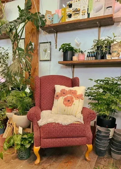 Cozy pink armchair with sunflower cushion among many houseplants on shelves and floor in a bright room