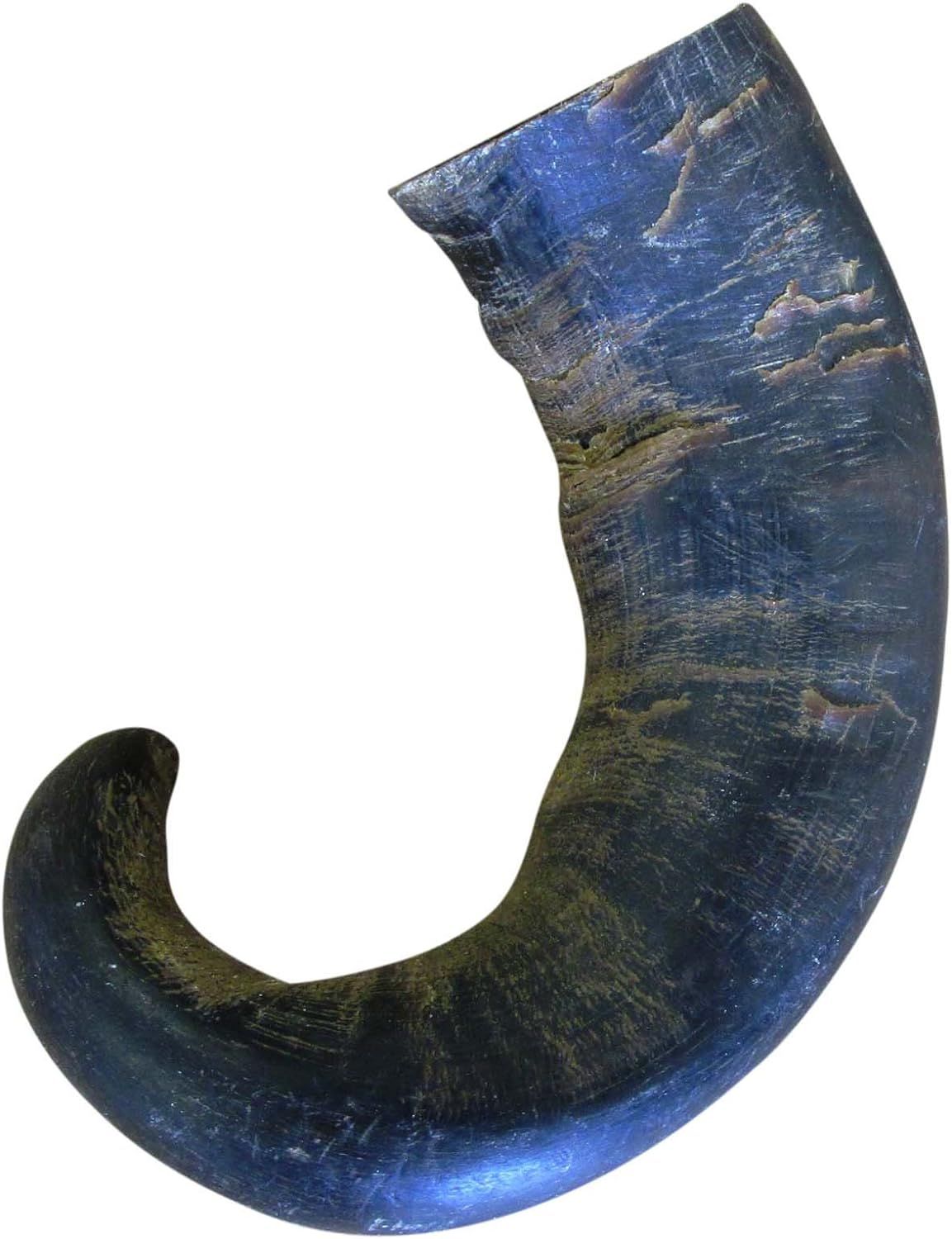 Buffalo horn as dog chew toy