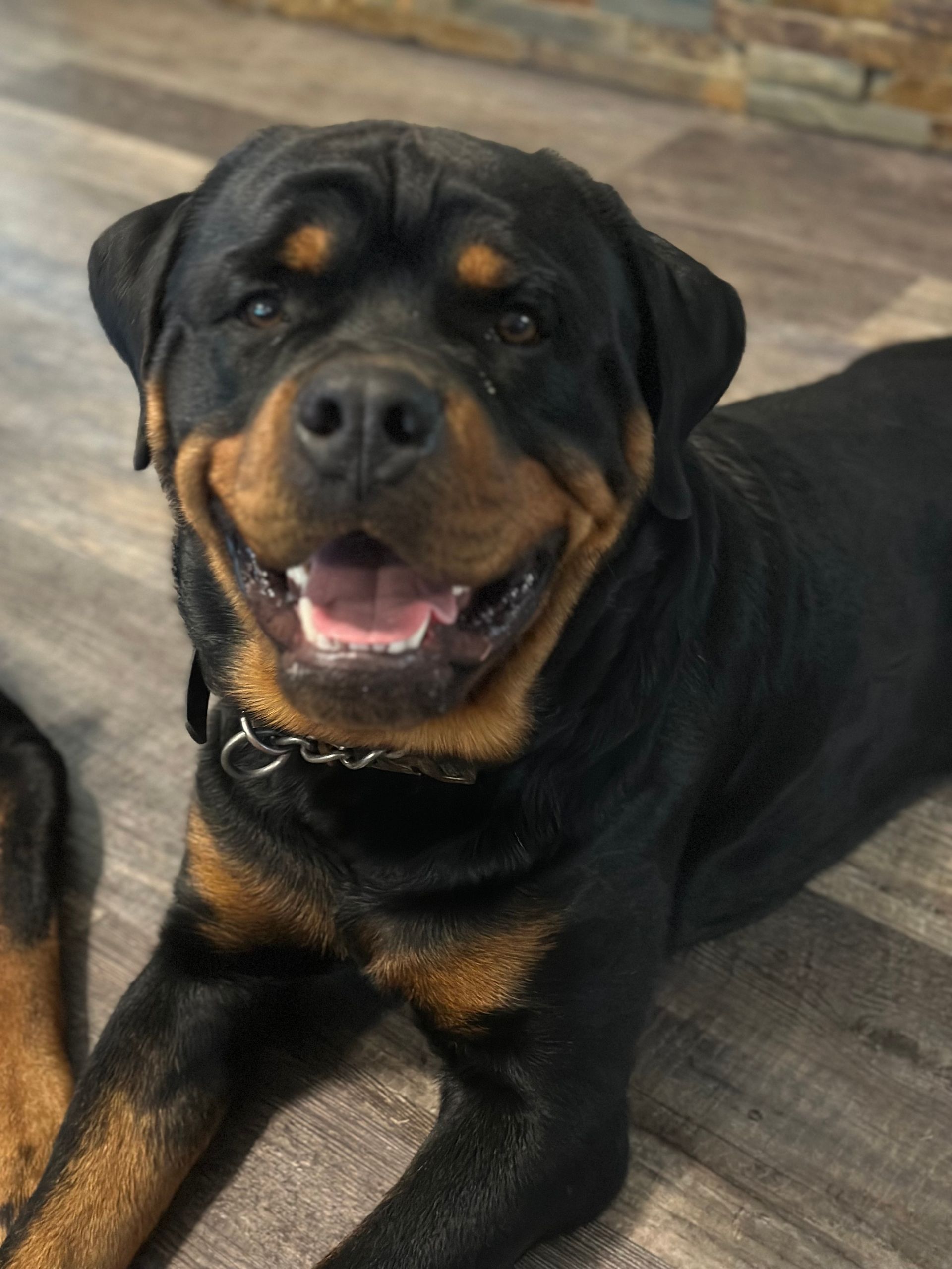 Leo