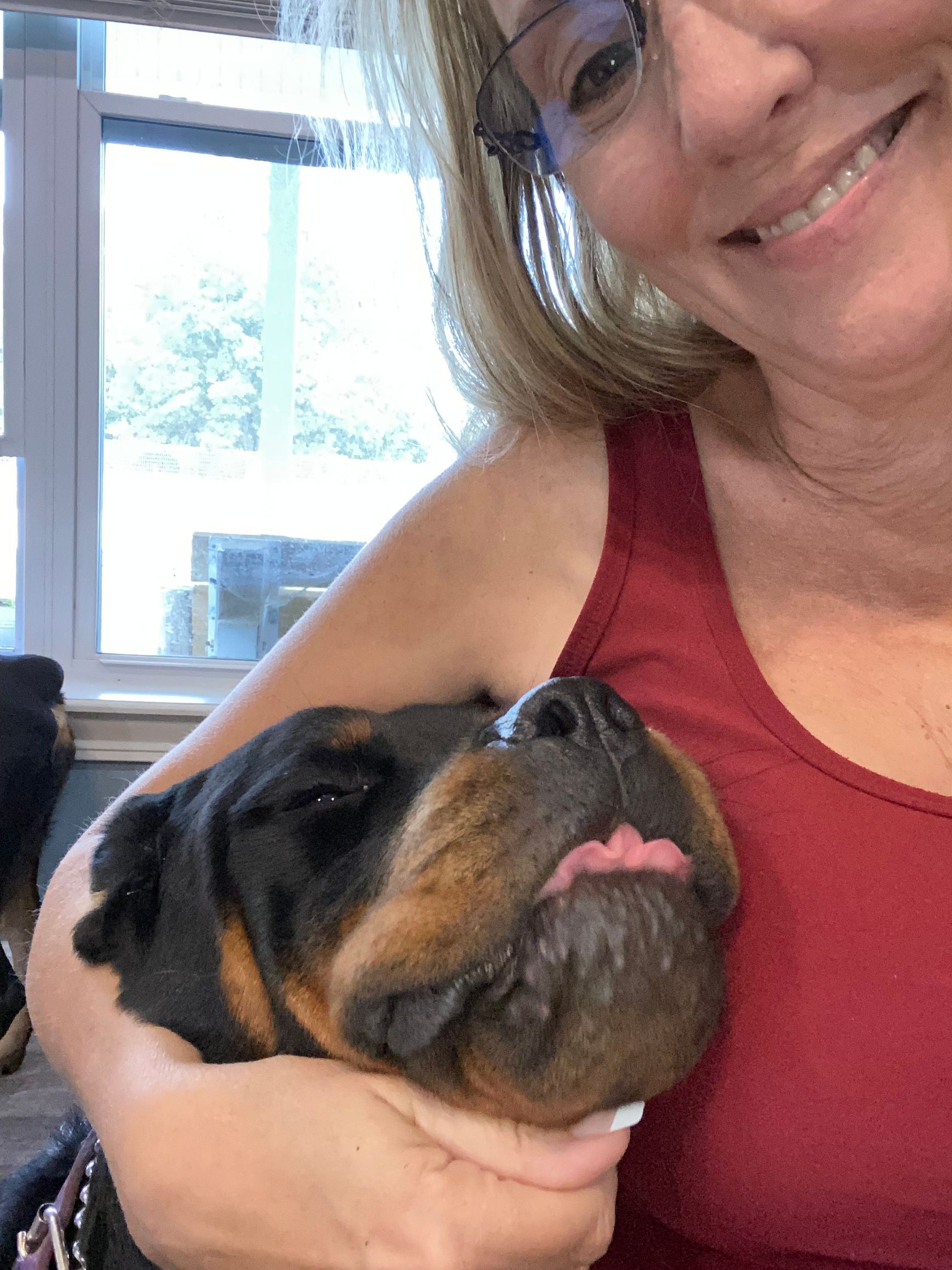 Farm and family raised German Rottweilers