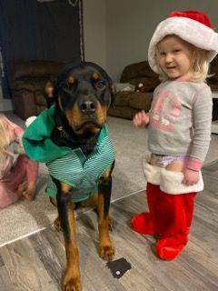 Young girl in Christmas clothes and puppy