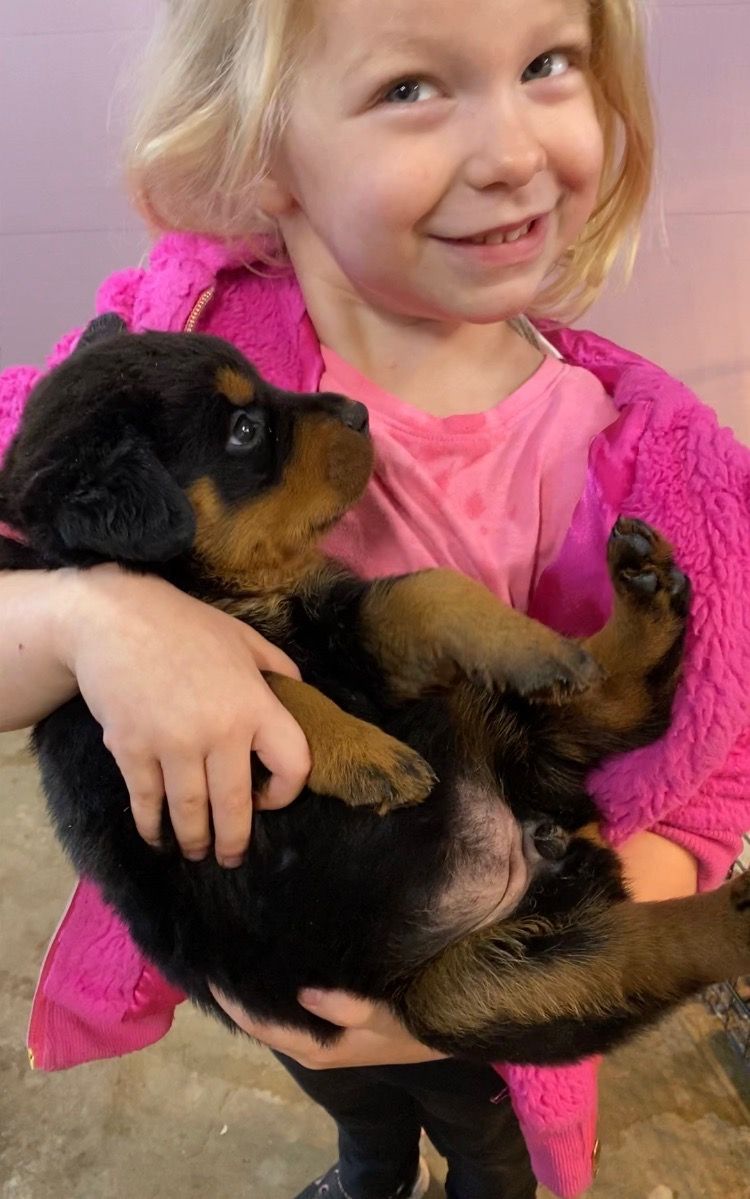 Young girl in pink jacket holding puppy