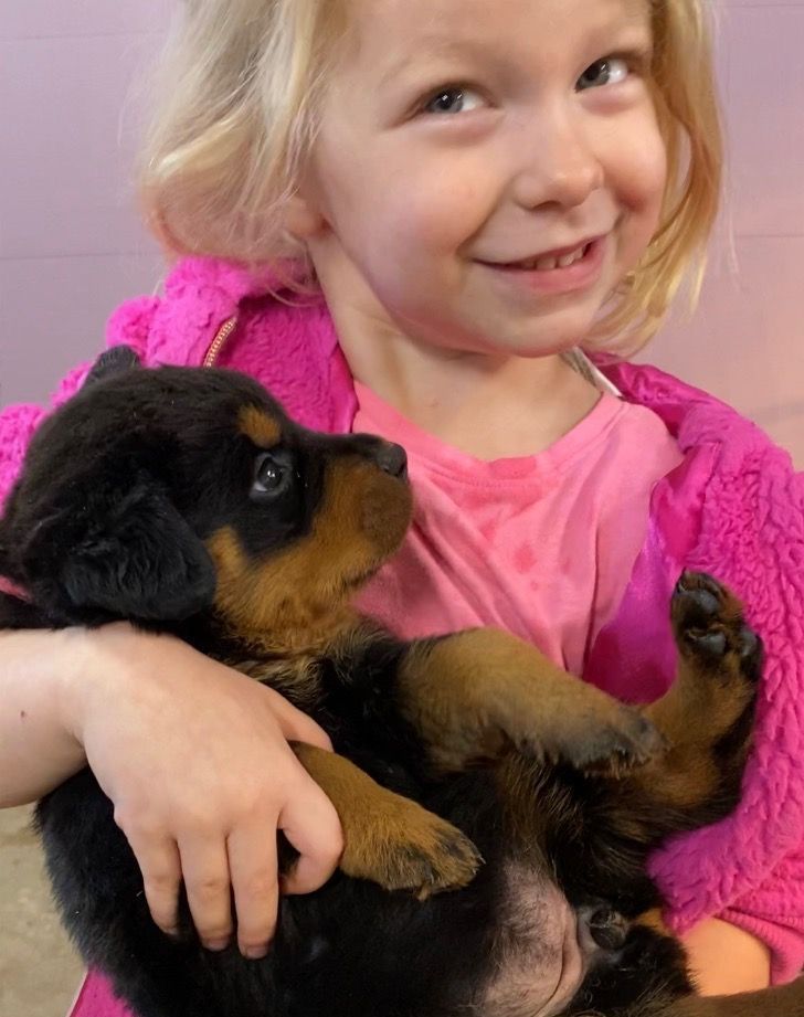 Spartan Rottweiler has intelligent puppies