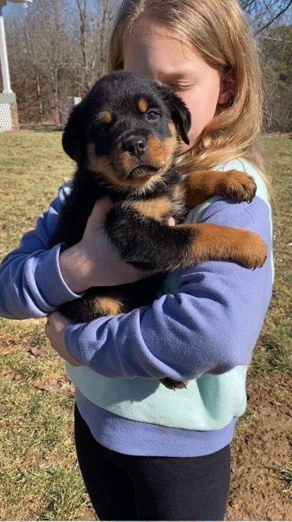 Young teenager holding a puppy