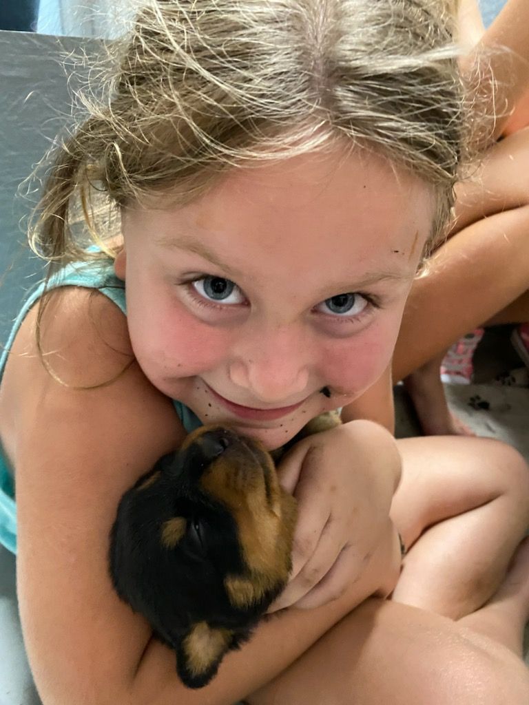 Young girl hugging a Rottweiler puppy