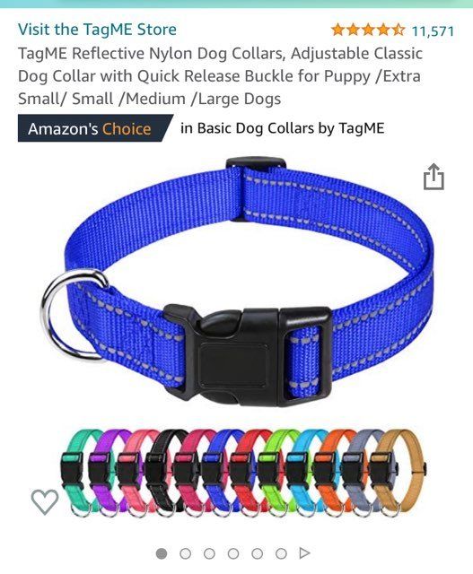 puppy collar