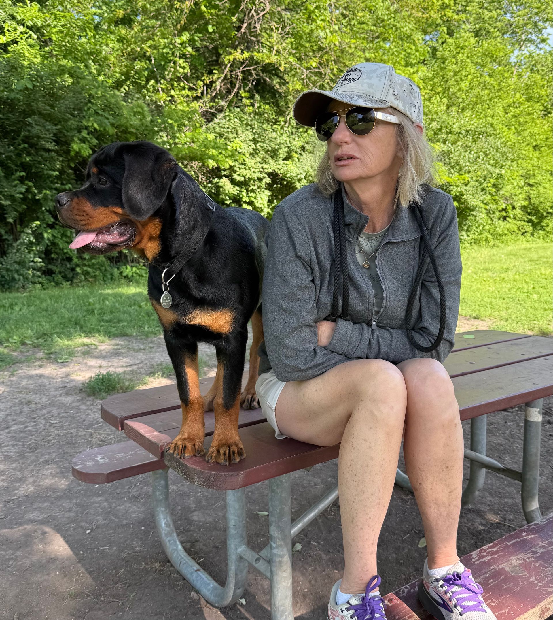 Dog with frustrated owner