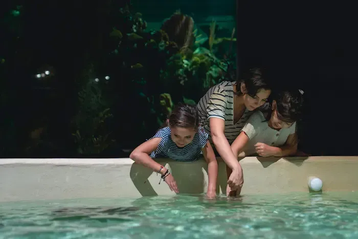 A mom showing her kids on the proper ways to swim.