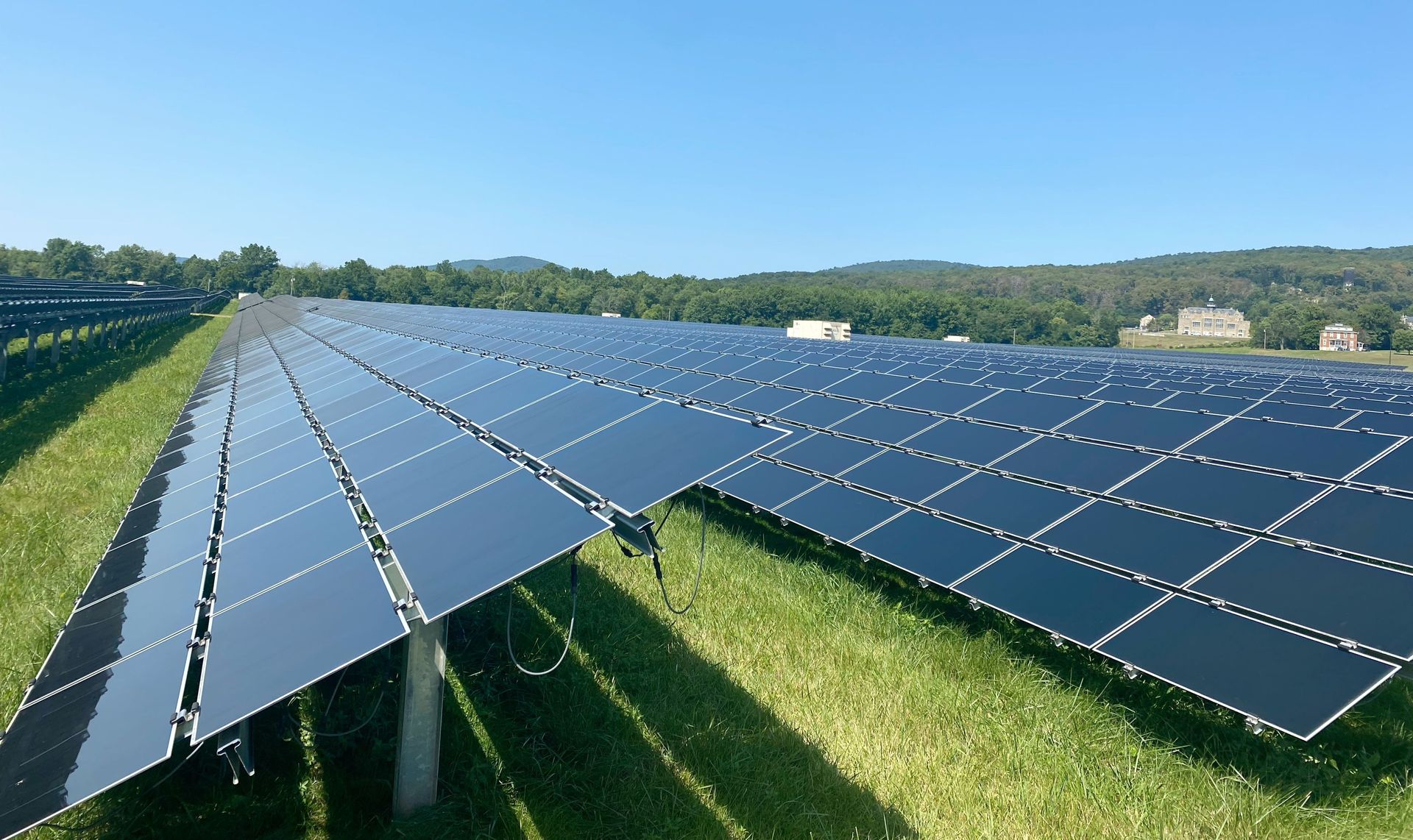 Solar panels in neat rows on a grassy field under a blue sky.