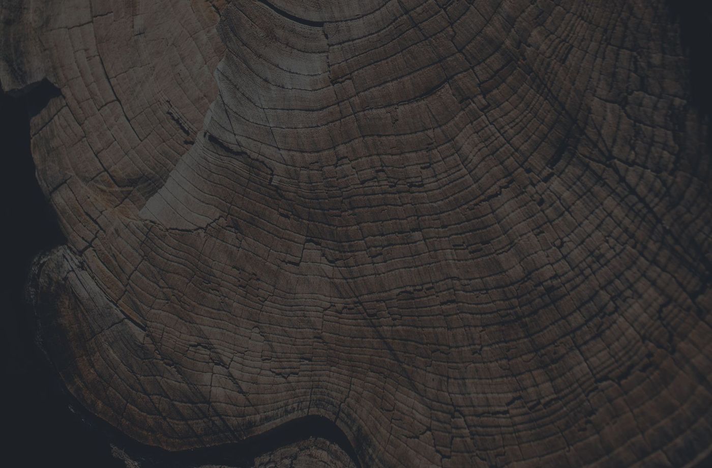 A close up of a piece of wood showing the texture of the wood.