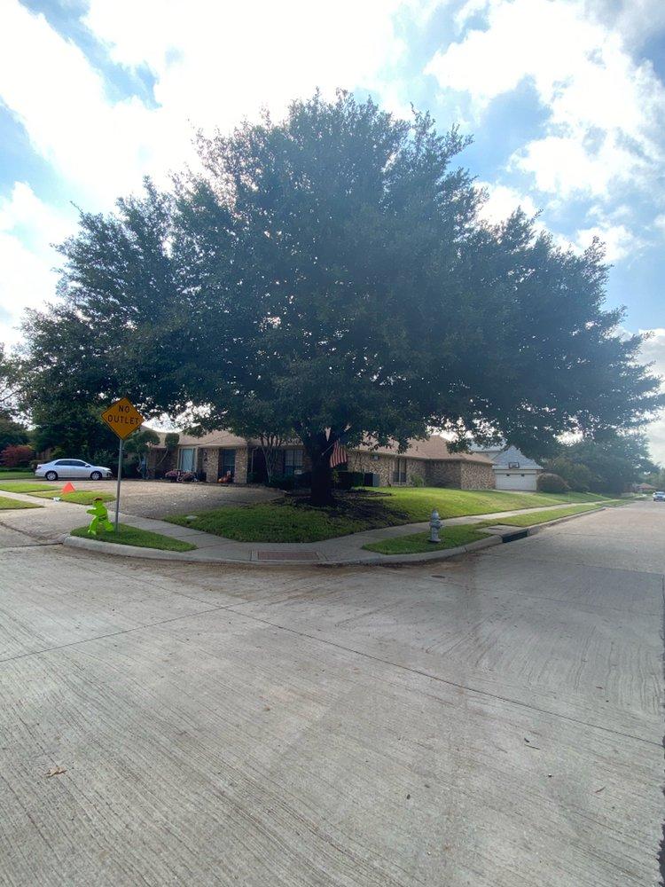 A large tree is sitting on the corner of a street in front of a house.