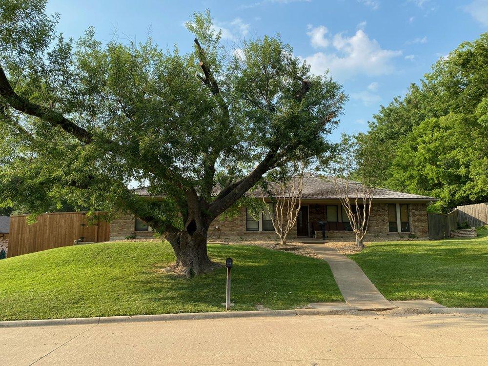 A house with a large tree in front of it.