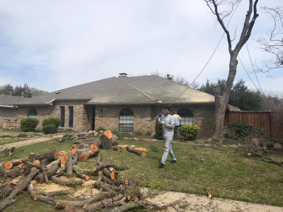 A man is standing in front of a house next to a pile of logs.