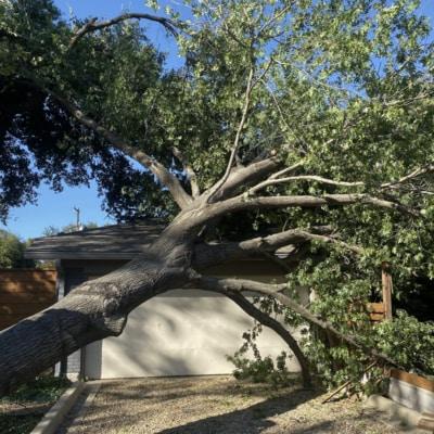 A large tree has fallen on top of a garage door.
